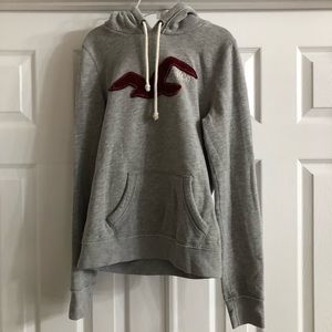 Hollister Gray Hoodie